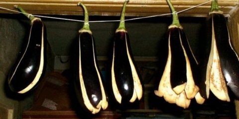 Kako pravilno osušiti patlidžan da ne bude gorak